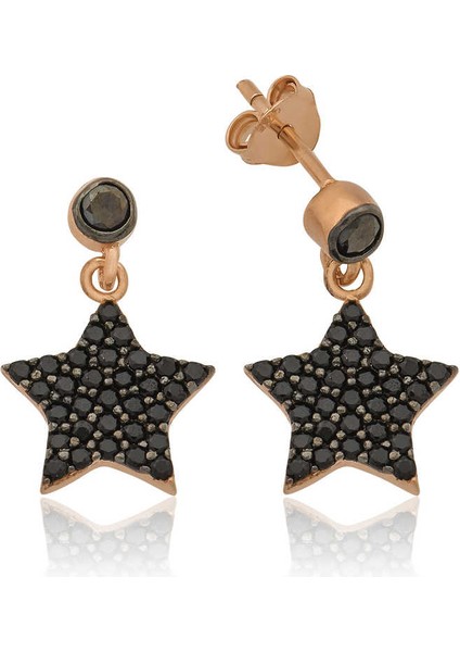 925 Ayar Gümüş Yıldız Küpe EA1160193 (593593)