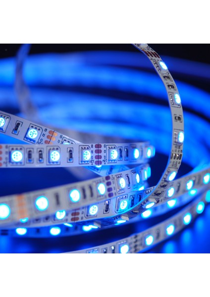 Smd 5050 Metrede 60 Ledli 12V 14.4W Iç Mekan Mavi Şerit LED