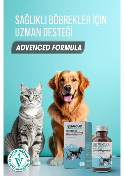 Renaxin Advenced Formula Böbrek Sağlığını Destekleyici Toz fiyatları