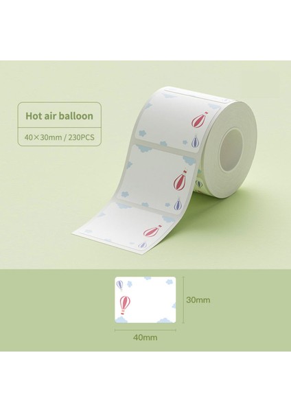 40X30MM Sıcak Hava Balonu Etiket 230 Adet B21 B1 B3S Için modelleri