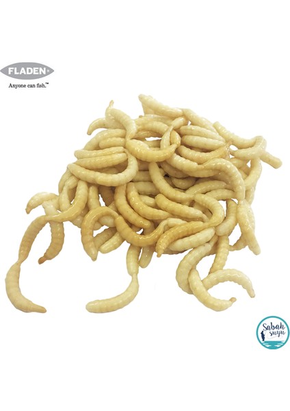 Vermz Kokulu Leş Kurdu 15MM (120 Ad) Silikon Yem Beyaz fiyatları