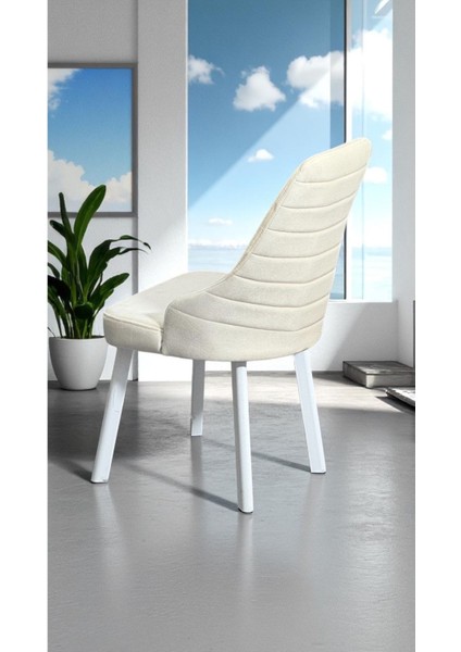 6 Adet Erciyes Sandalye Mutfak Cafe Restaurant Proje Metal Lüks Sandalye