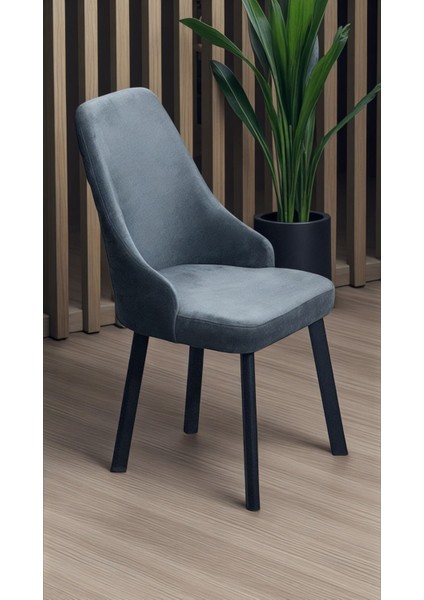 2 Adet Erciyes Sandalye Mutfak Cafe Restaurant Proje Metal Lüks Sandalye fiyatları