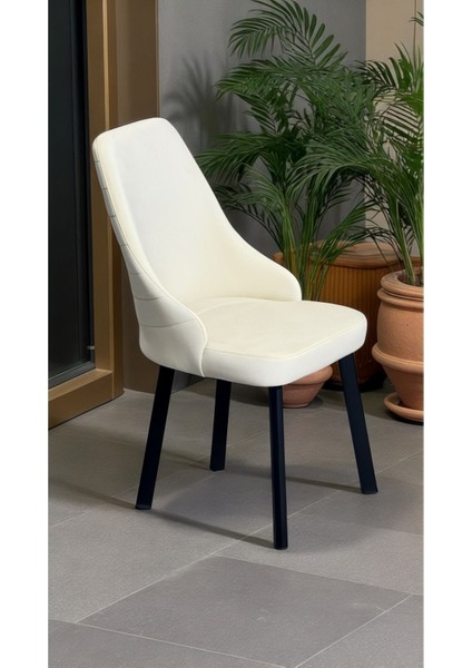 2 Adet Erciyes Sandalye Mutfak Cafe Restaurant Proje Metal Lüks Sandalye fiyatları