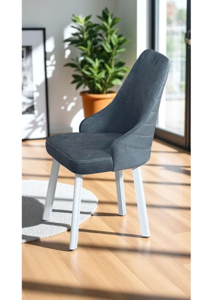 Erciyes Sandalye Mutfak Cafe Restaurant Proje Metal Lüks Sandalye modelleri