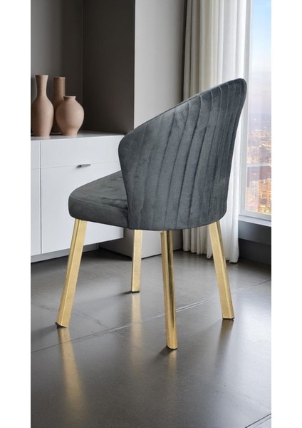 2 Adet Midye Sandalye Mutfak Cafe Restaurant Proje Metal Lüks Sandalye