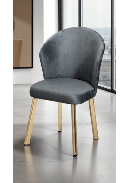 2 Adet Midye Sandalye Mutfak Cafe Restaurant Proje Metal Lüks Sandalye fiyatları