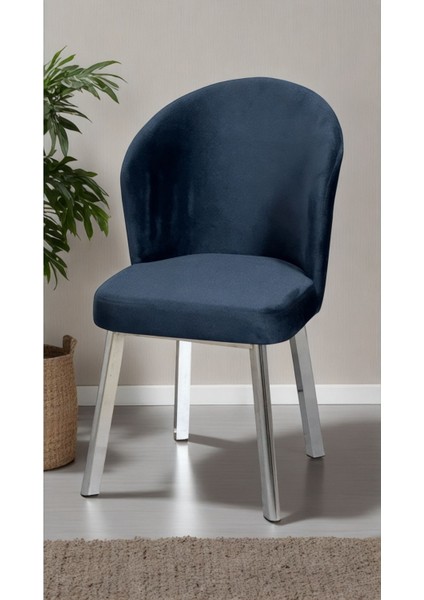 Midye Sandalye Mutfak Cafe Restaurant Proje Metal Lüks Sandalye 2 Adet fiyatları