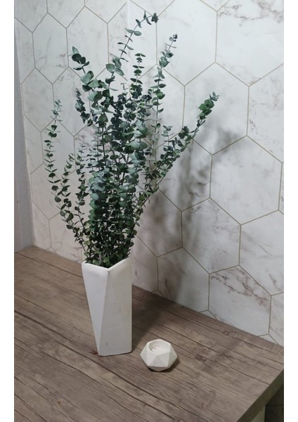 Okaliptus Şoklanmış Kurutulmuş fırsatları