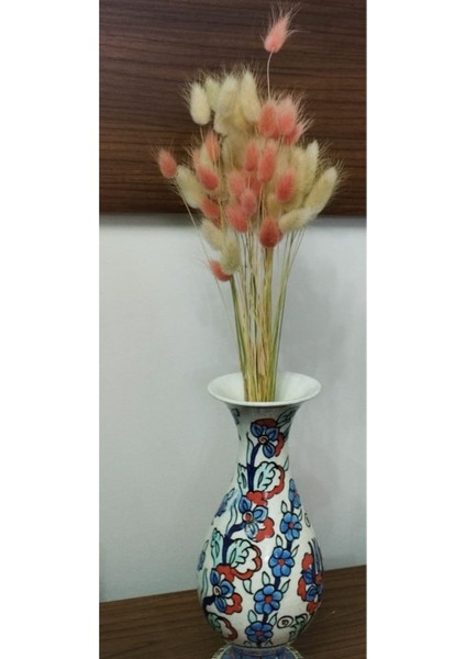 Cansas Kuru Çiçek Pamuk Otu Pembe Beyaz fiyatları