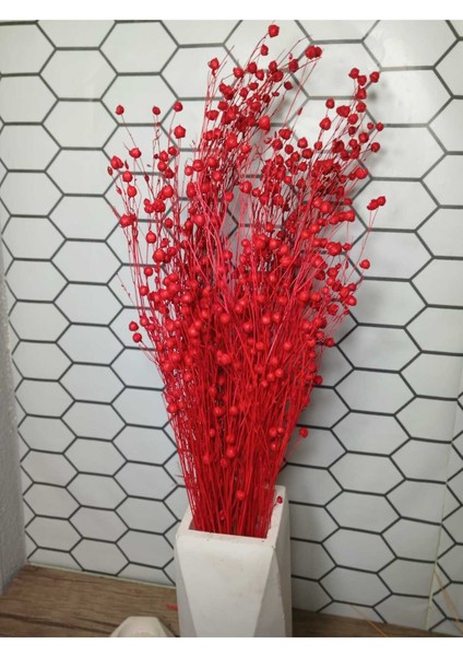 Kuru Çiçek Luna (Keten) Otu