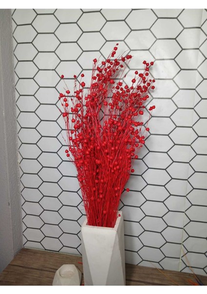 Kuru Çiçek Luna (Keten) Otu modelleri