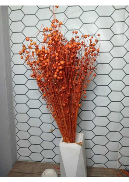 Kuru Çiçek Luna (Keten) Otu fiyatları