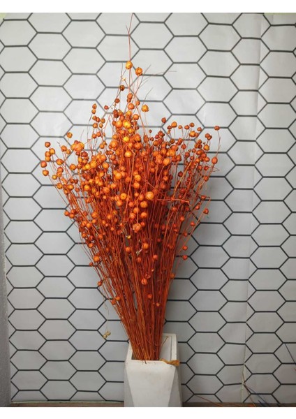 Kuru Çiçek Luna (Keten) Otu modelleri