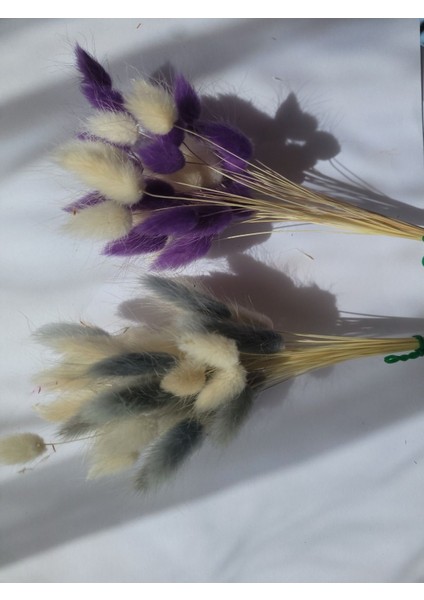 Pamuk Otu Kurutulmuş Tavşan Kuyruğu Gelin Buketi Aranjman Lagurus Çiçek 40 Dal modelleri