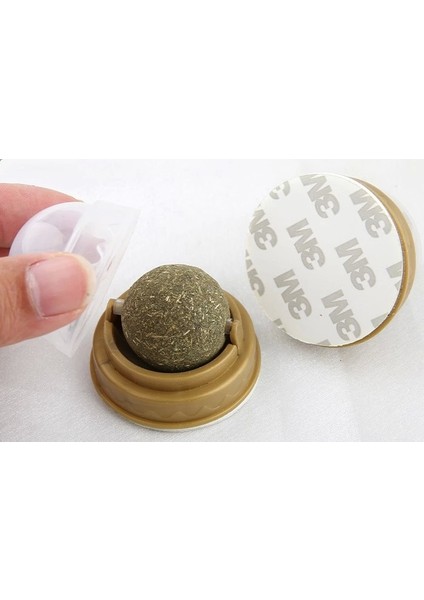 Kedi Otu Oyun Topu fırsatları