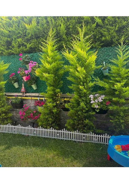 Dekoratif Bahçe Çiti Plastik Peyzaj Çiti Modern Bahçe Çiti 1 Adet 39X59CM 4lü Baglantı Daha Kaliteli modelleri