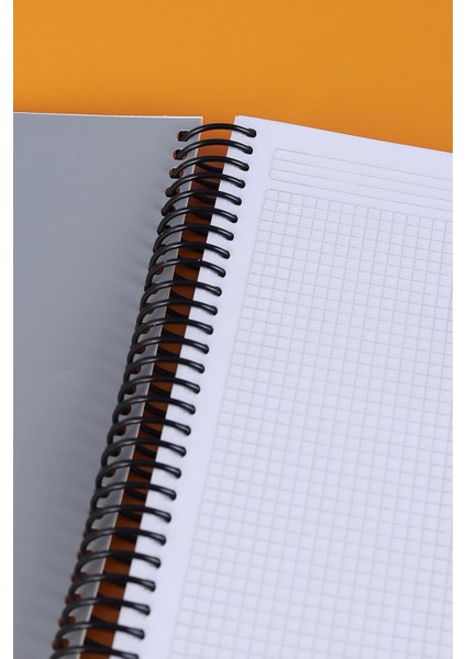 Tokaç My Lesson Plastik Kapak A4 7+3 250 Yaprak Spiralli 10 Bölmeli Ayraçlı Kareli Çizgili Defter TOK940 fiyatları