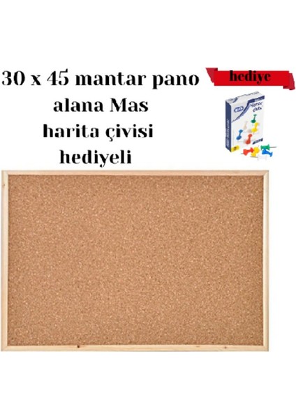 Çok Renkli Mantar Pano 30X45 ve Hediye Mas Harita Çivisi Seti