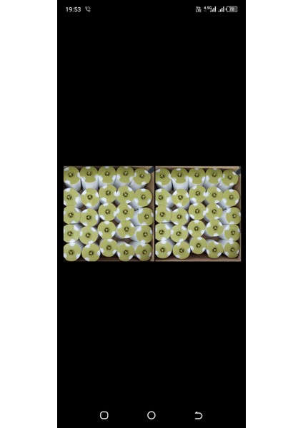 Klozet Kapağı Hijyen Rulosu 50 Li