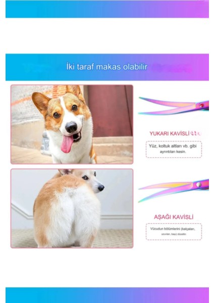 3 Parça 6,5 Inch 17 cm Deri Çantalı Pet Shop Evcil Hayvan Kedi Köpek Traş Kuaför Makas Seti fiyatları