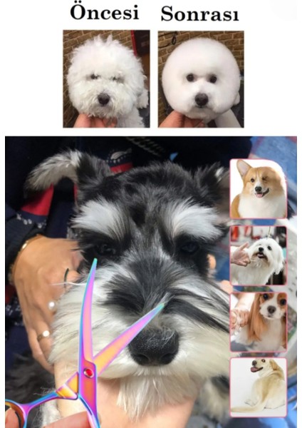 3 Parça 6,5 Inch 17 cm Deri Çantalı Pet Shop Evcil Hayvan Kedi Köpek Traş Kuaför Makas Seti modelleri