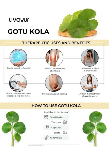 Organik Gotu Kola 475 mg Mineral Centella Asiatica Full Spectrum Immune fırsatları