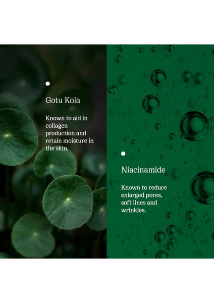 Organik Gotu Kola 475 mg Mineral Centella Asiatica Full Spectrum Immune indirimleri