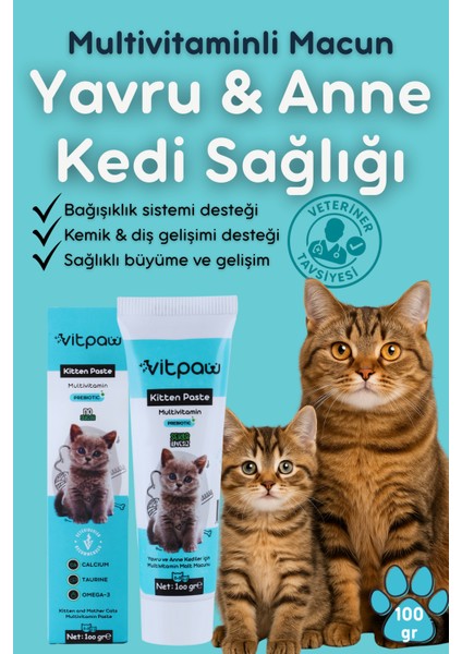 Kitten Paste 100 Gr.(Yavru & Anne Kedi Direnç Sistemi Destekleyici Multivitamin Macun)