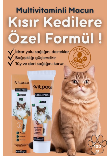 Sterile Paste 100 Gr | Kısırlaştırılmış Kediler İçin Özel İdrar Yolu ve Tüy Yumağı Destekleyici Macun | Yüksek Malt, Multivitamin