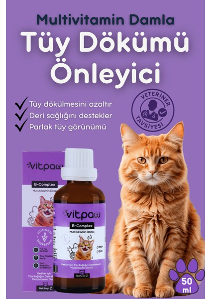 B Complex Damla 50 ml Kediler Için Tüy Dökülmesi Engelleyici, Deri ve Tüy Sağlığı Biotin Damla, Kedi vitamini