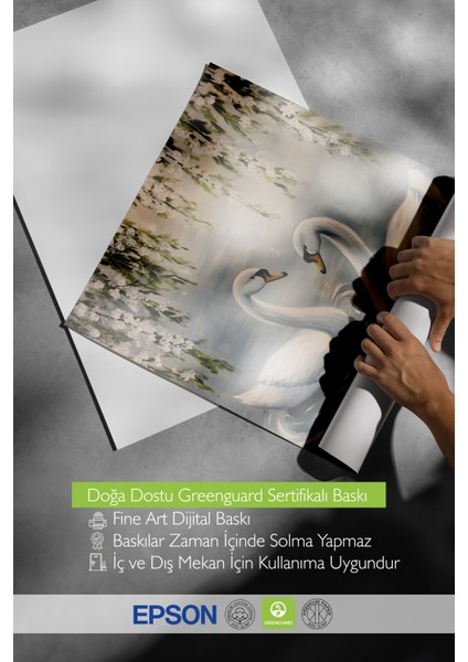 Ahşap Çerçeveli Tablo, Kuğuların Göl Manzarası, Salon Dekoru Poster No: 111426