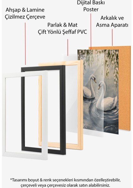 Siyah Çerçeveli Tablo, Kuğuların Göl Manzarası, Salon Dekoru Poster No: 111426