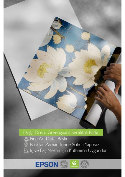 Siyah Çerçeveli Tablo, Lotus Çiçekleri Illüstrasyonu, Banyo Dekoru Poster No: 111766