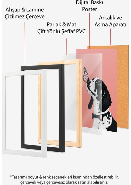 Çerçevesiz Poster, Siyah Beyaz Köpek ve Kelebek, Çocuk Odası Dekoru Poster No: 112221 indirimleri