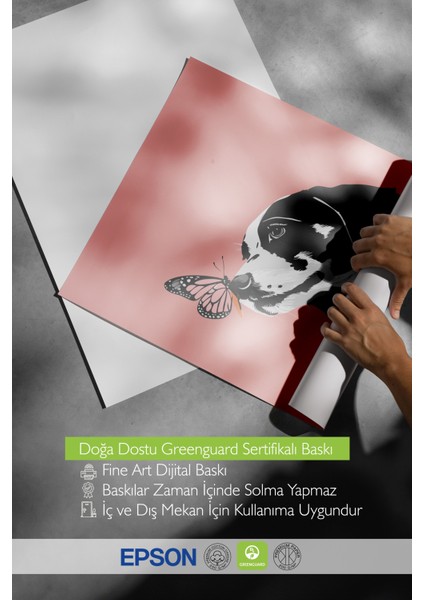 Çerçevesiz Poster, Siyah Beyaz Köpek ve Kelebek, Çocuk Odası Dekoru Poster No: 112221