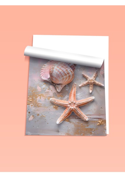 Çerçevesiz Poster, Deniz Kabukları ve Yıldız, Banyo Dekoru Poster No: 112014 fiyatları