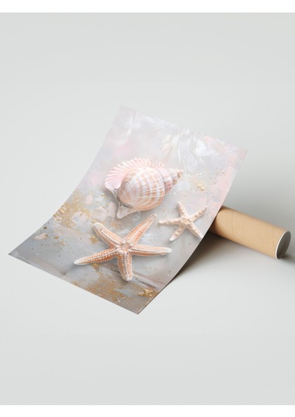 Çerçevesiz Poster, Deniz Kabukları ve Yıldız, Banyo Dekoru Poster No: 112014 modelleri