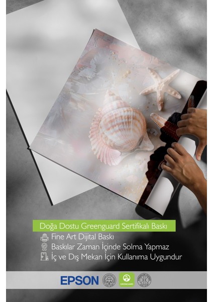 Çerçevesiz Poster, Deniz Kabukları ve Yıldız, Banyo Dekoru Poster No: 112014