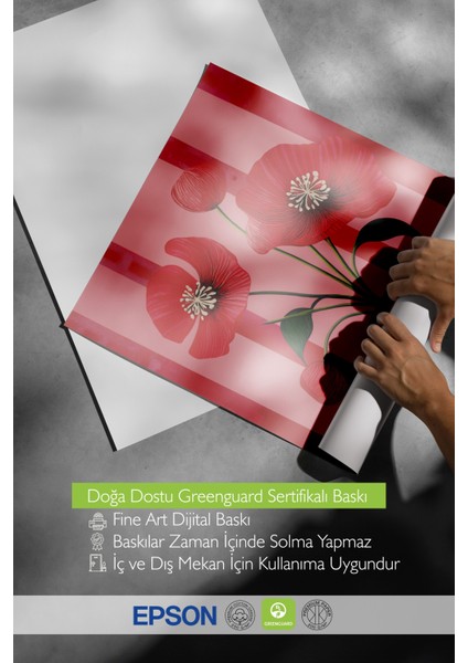 Çerçevesiz Poster, Kırmızı Fon Gelincik, Salon Dekoru Poster No: 111678