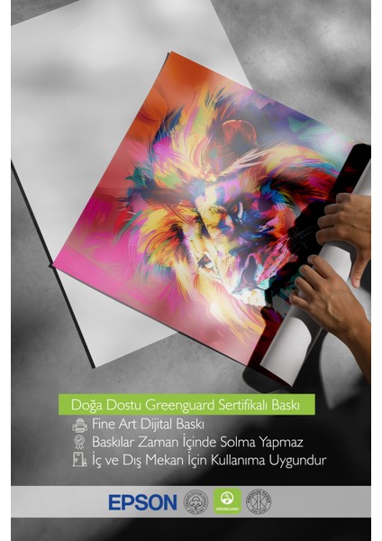 Ahşap Çerçeveli Tablo, Renkli Aslan Portre, Salon Dekoru Poster No: 111941