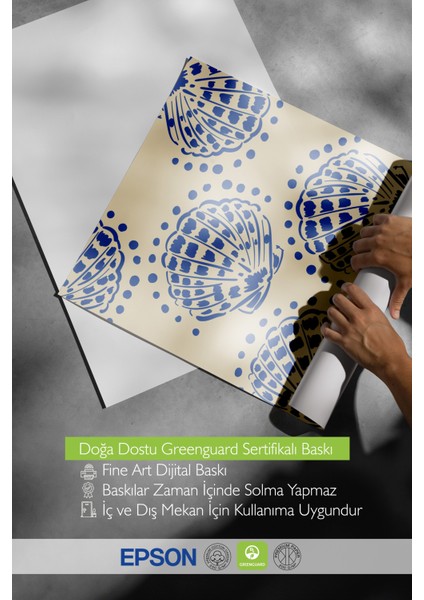 Çerçevesiz Poster, Deniz Kabukları Minimalist, Yatak Odası Dekoru Poster No: 112153