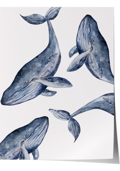 Çerçevesiz Poster, Balinalar Illüstrasyon, Yatak Odası Dekoru Poster No: 112174