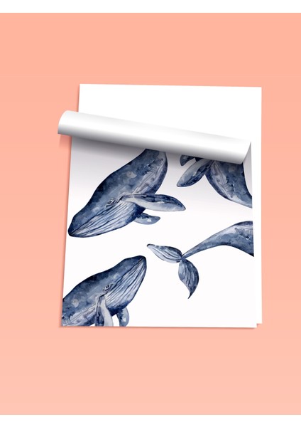 Çerçevesiz Poster, Balinalar Illüstrasyon, Yatak Odası Dekoru Poster No: 112174 fiyatları