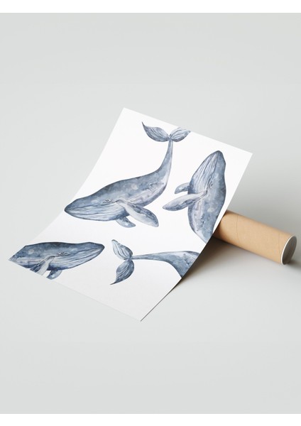 Çerçevesiz Poster, Balinalar Illüstrasyon, Yatak Odası Dekoru Poster No: 112174 modelleri