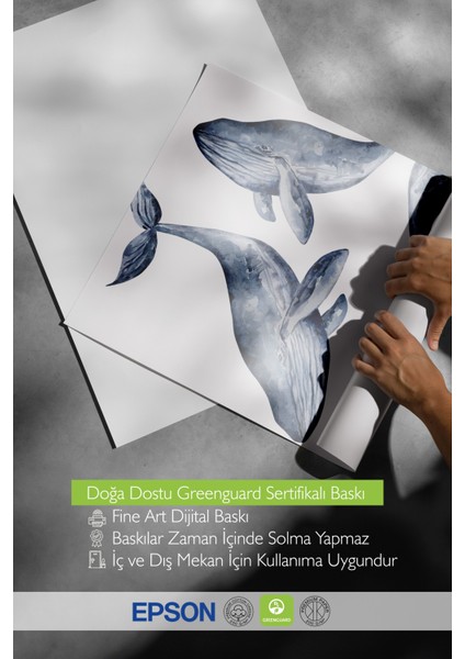 Çerçevesiz Poster, Balinalar Illüstrasyon, Yatak Odası Dekoru Poster No: 112174