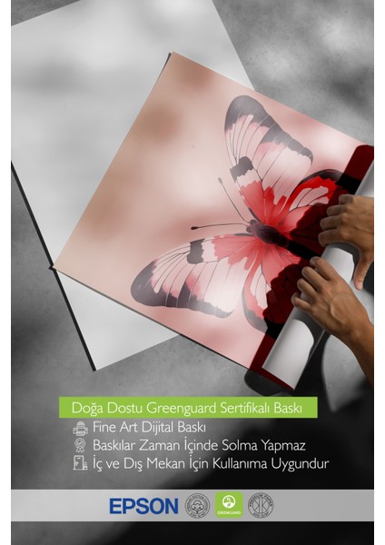 Beyaz Çerçeveli Tablo, Çift Kırmızı Kelebek, Yatak Odası Dekoru Poster No: 112238