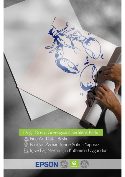 Beyaz Çerçeveli Tablo, Minimalist Yengeçler, Yatak Odası Dekoru Poster No: 112161