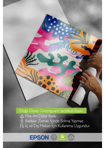 Çerçevesiz Poster, Renkli Soyut Bitkiler, Salon Dekoru Poster No: 112016