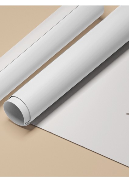 Çerçevesiz Poster, Beyaz Çiçek Minimalist, Ofis Dekoru Poster No: 111828 fırsatları